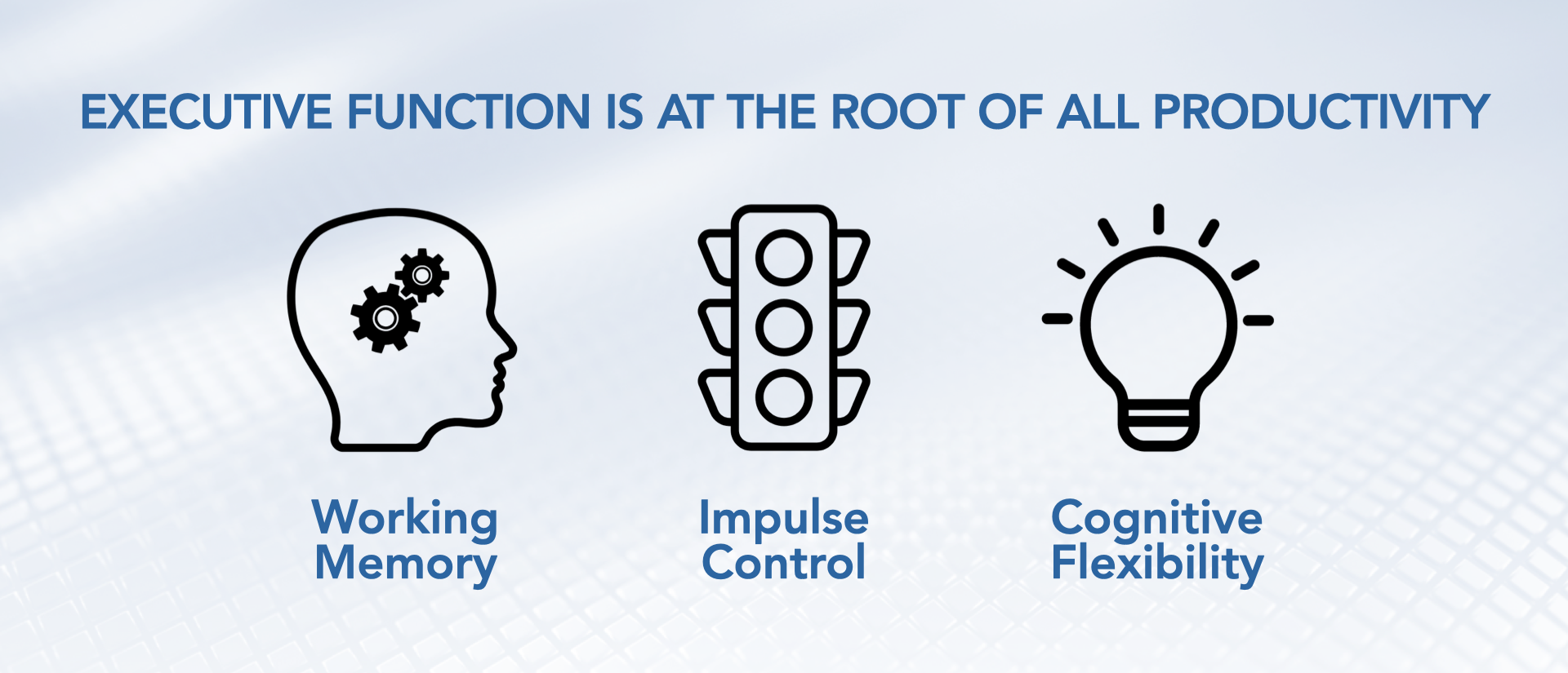 Development of 2024 executive function